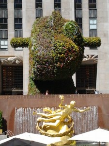 2014-08-28 11.55.44